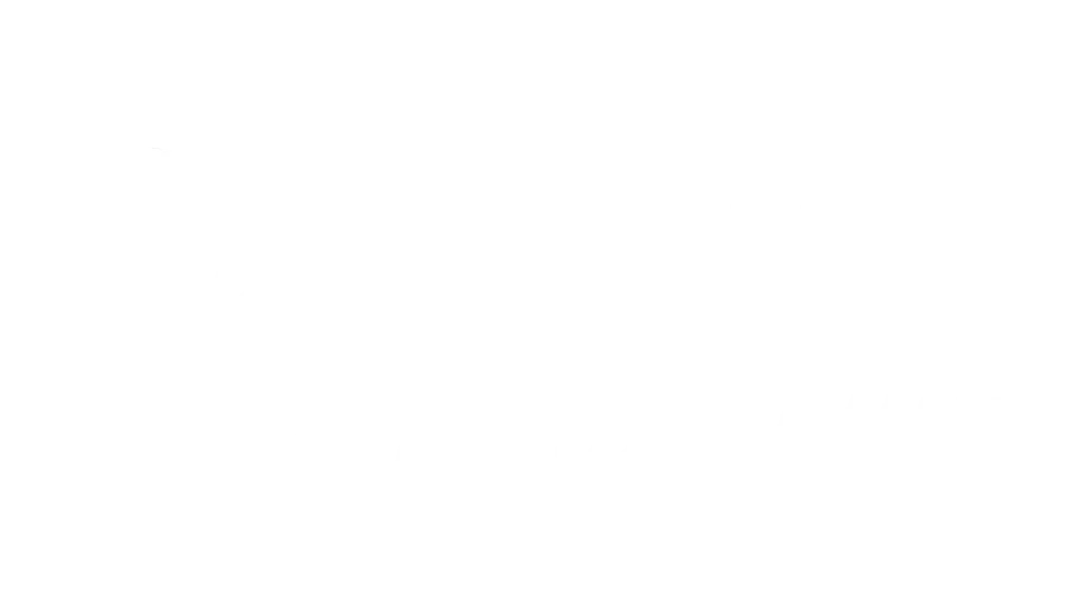Party Shirt International